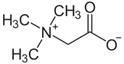 product-124-64